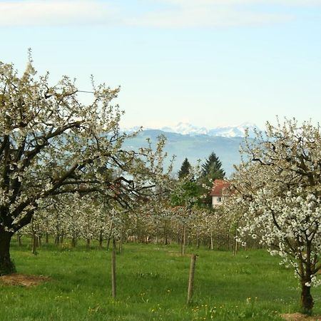 נוננהורן Villa Linke Am Bodensee מראה חיצוני תמונה