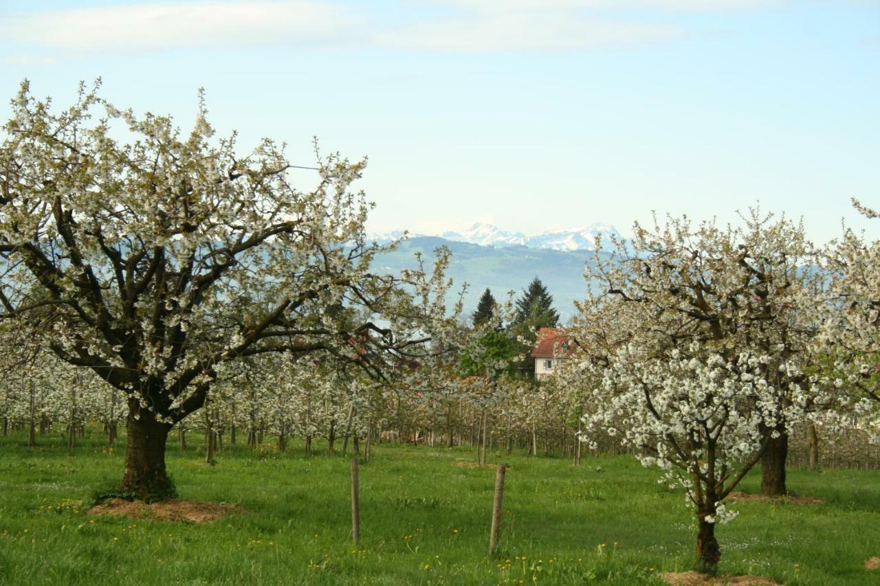 נוננהורן Villa Linke Am Bodensee מראה חיצוני תמונה
